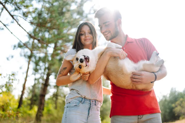 Young Couple Together Beloved Pet Walk Sunny Day Happy Man — Stock Photo, Image