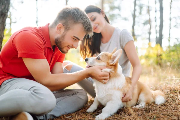 在阳光灿烂的日子里 这对年轻夫妇和他们心爱的宠物一起散步 快乐的男人和女人和他们的科吉狗在一起 积极生活方式 爱情和度假的概念 — 图库照片