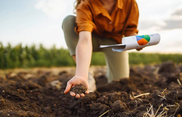 Vrouwelijke Boerenhand Controleert Grond Voor Het Kweken Van Groentezaden Zaailingen — Stockfoto