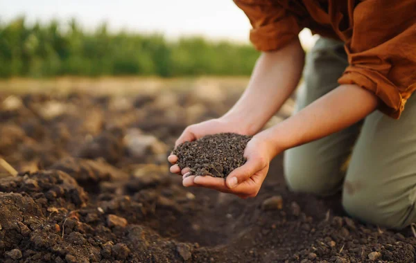 Žena Farmářova Ruka Kontroluje Půdu Před Pěstováním Semen Zeleniny Nebo — Stock fotografie