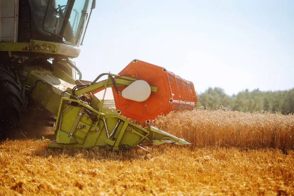 Moderne Industrielle Mähdrescher Ernten Einem Sommertag Weizengetreide Getreideernte Konzept Der — Stockfoto