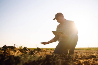 Çiftçinin eli sebze tohumu ya da fide yetiştirmeden önce toprağı kontrol eder. Ekoloji ve bahçecilik kavramları.