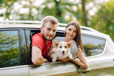 Seyahat ederken köpeğiyle birlikte arabasının arka koltuğunda sevgi dolu ve sevgi dolu bir çiftin portresi. Mutlu çift sevgili Corgi köpeklerini okşuyor. Yaşam tarzı, tatil, seyahat, aile kavramı.