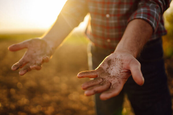 farmer's hand checks soil before growing vegetable seeds or plant seedlings. Concepts of ecology and gardening.