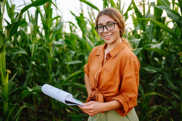 ビジネス女性は収穫前にトウモロコシ畑の品質を調べます ビジネス 農業の概念 現代の技術 収穫の世話 — ストック写真