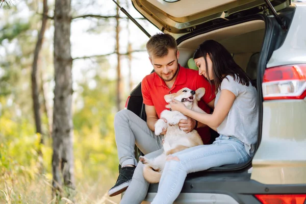 Portrait Caring Loving Couple Dog Back Seat Car While Traveling — Stock Photo, Image