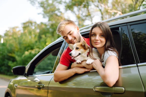 Portrait Caring Loving Couple Dog Back Seat Car While Traveling — Stock Photo, Image
