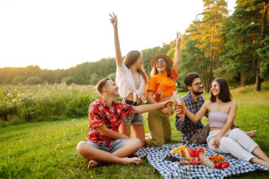 Piknikte güneşli çayırlarda neşeli arkadaşlar dinleniyor, bira içiyor, şerefe. Tarz sahibi arkadaşlar güzel yeşil çayırlarda güneşli bir günün tadını çıkarırlar. Tatil, piknik, arkadaşlık veya bayram konsepti.