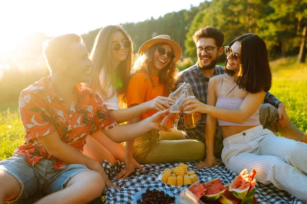 Весела Компанія Сонячному Лузі Пікніку Відпочиває Пиво Вітає Стильні Друзі — стокове фото