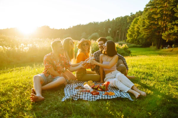 Cheerful Company Sunny Meadow Picnic Resting Drinking Beer Cheers Stylish — Stock Photo, Image