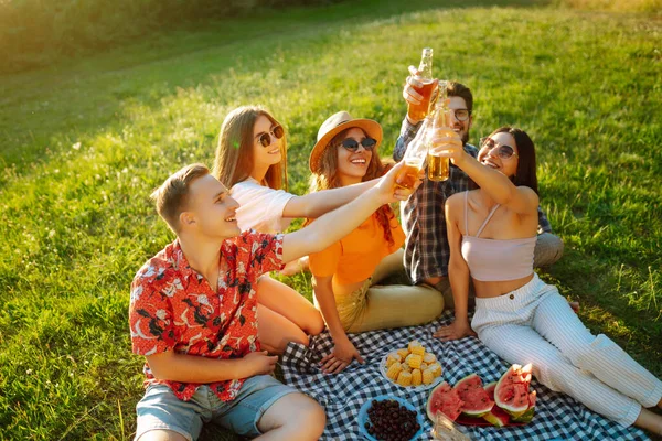 Vrolijk Gezelschap Zonnige Weide Bij Picknick Rusten Bier Drinken Proost — Stockfoto