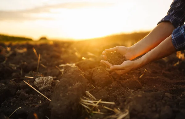 Ruka Zemědělce Sbírat Půdu Kontrolu Zdraví Půdy Před Růstem Semeno — Stock fotografie