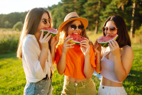 三个女人在大自然中休息 在野餐时吃西瓜 友谊或神圣的概念 — 图库照片