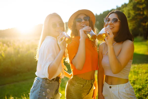 Trzy Kobiety Odpoczywające Naturze Pikniku Pijące Piwo Zdrówko Wakacje Piknik — Zdjęcie stockowe