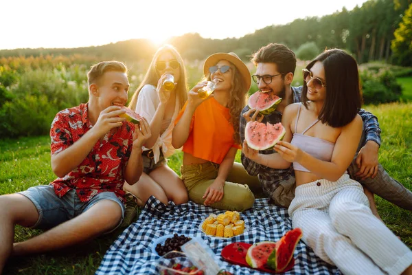 ピクニックを飲むビールで自然の中で休んで友人の幸せなグループは ライフスタイル リラクゼーション 休暇のコンセプト — ストック写真