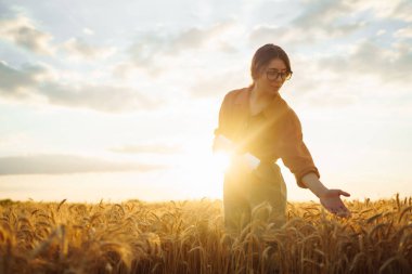 Buğday tarlasında çiftçi kadın mahsulü kontrol ediyor. Hasat, bahçıvanlık ya da ekoloji konsepti. Akıllı tarım ve hassas tarım