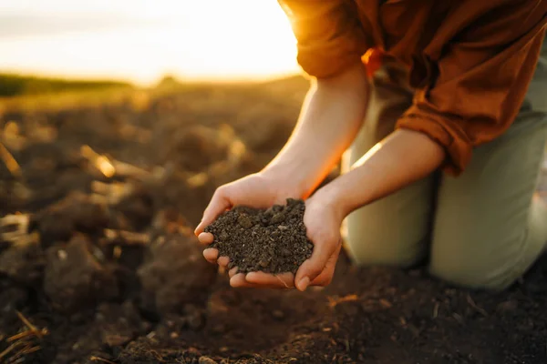 stock image Hand of expert farmer checking soil quality before sowing. Agriculture, gardening or ecology concept.