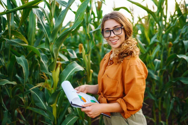 農家の女性が畑に立って 緑のトウモロコシのプランテーションを検査します 農業産業 収穫期のコンセプト — ストック写真