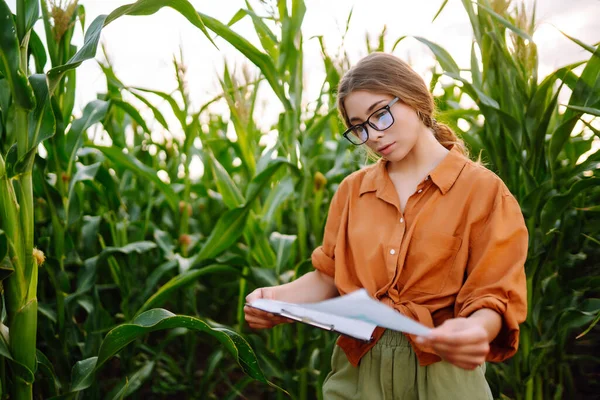 stock image A farmer woman stands in a field and inspects a green corn plantation. Agricultural industry. Harvest care concept.