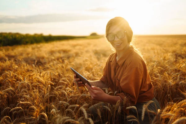麦田里的农民妇女摸大麦的耳朵 丰富的收获概念 — 图库照片