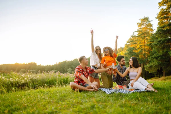 若者のグループはピクニックのために庭に集まった 友達は楽しくビールを飲んでいます ピクニック 友情や休日の概念 — ストック写真