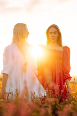 Çiçeklerle tarlada poz veren iki güzel kadının portresi. Doğa, tatil, rahatlama ve yaşam tarzı. Yaz manzarası.