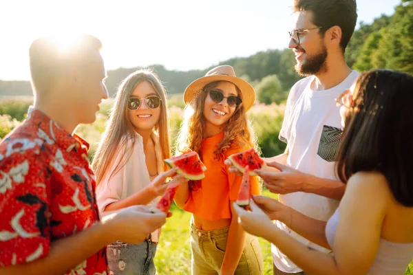 夏の公園で幸せな友人のグループが歓声とビールを飲みます ピクニック 友情や休日の概念 — ストック写真
