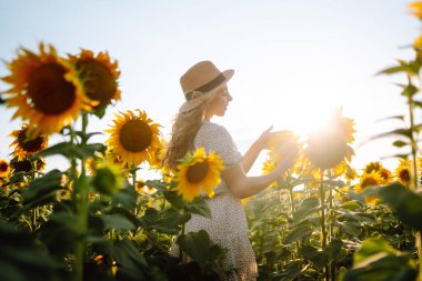 Ayçiçeği tarlasında elbise ve şapkayla poz veren güzel bir kadın. Moda, yaşam tarzı, seyahat ve tatil kavramı.