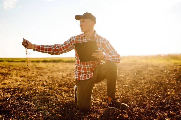 Çiftçi Büyümeden Önce Tarlada Toprağa Dokunuyor Sebze Veya Bitki Tohumu — Stok fotoğraf