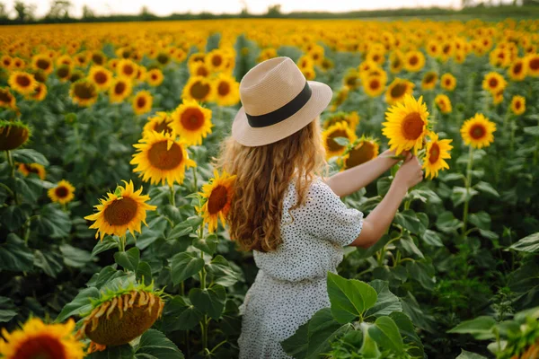 Ayçiçeği tarlasında elbise ve şapkayla poz veren güzel bir kadın. Moda, yaşam tarzı, seyahat ve tatil kavramı.