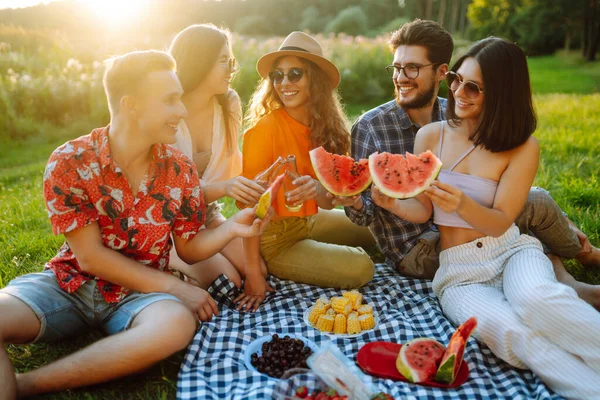 Groep Jongeren Hebben Plezier Drinken Bier Tuin Voor Een Picknick — Stockfoto