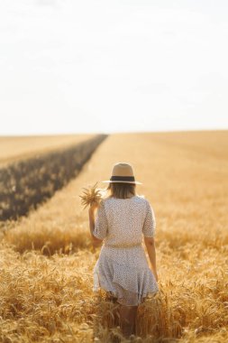 Altın buğday tarlasında poz veren yaz elbisesi ve şapkası içinde şık genç bir kadın. Moda, cazibe, yaşam tarzı konsepti.