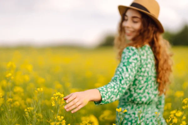 Ung Kvinna Promenader Blommande Fält Försiktigt Röra Gula Blommor Natur — Stockfoto