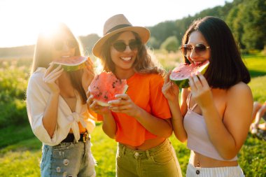 Üç genç kadın piknikte dinleniyor. Kız arkadaşlar güzel yeşil çayırlarda güneşli bir günün tadını çıkarırlar. Tatil, piknik, arkadaşlık veya bayram konsepti.