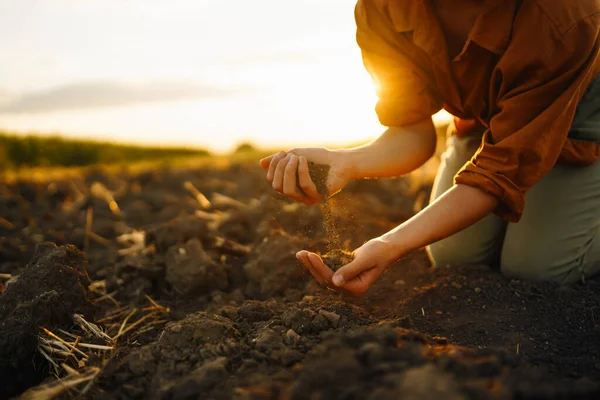 Odborná Ruka Zemědělce Který Před Růstem Kontroluje Stav Půdy Semeno — Stock fotografie