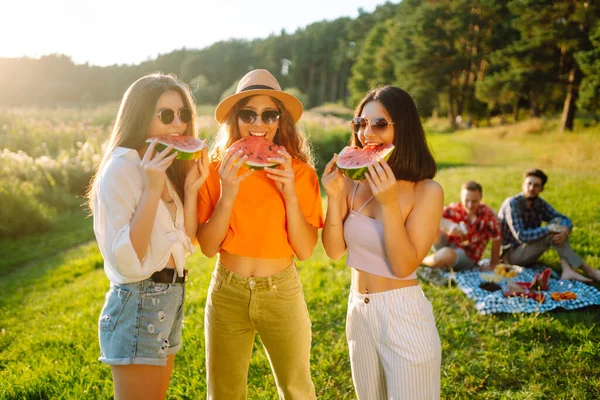 ピクニックに３人の若い女性が休んでいる ガールフレンドは美しい緑の牧草地で晴れた日をお楽しみください ピクニック 友情や休日の概念 — ストック写真