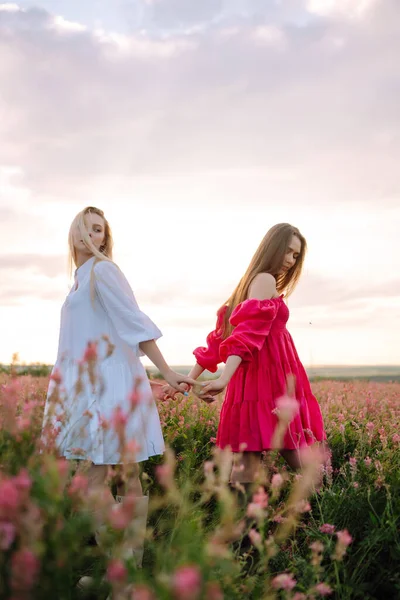 Duas Mulheres Vestidos Verão Elegantes Sentindo Livres Campo Com Flores — Fotografia de Stock