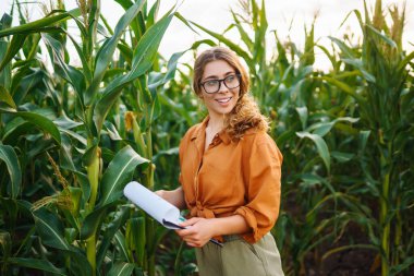 Bir çiftçi kadın tarlada duruyor ve yeşil mısır tarlasını inceliyor. Çiftlikteki tarımcı. Hasat bakım konsepti.
