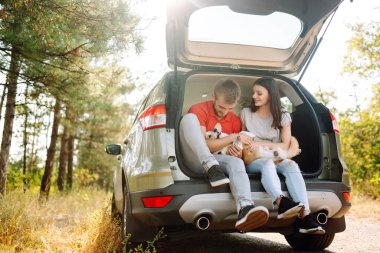 Sevgili evcil hayvanlarıyla yürüyüşe çıkmış genç bir çift. Bir kadınla ve sevgili köpeğiyle seyahat eden mutlu bir adam. Aktif yaşam tarzı kavramı, seyahat, hafta sonu, rahatlama.