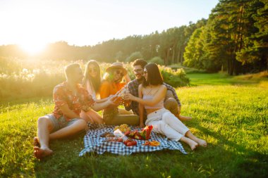 Bir grup genç, bira içerken eğleniyor, yaz günü şehir dışındaki piknik partisinde konuşuyor. Tatil, piknik, arkadaşlık veya bayram konsepti.