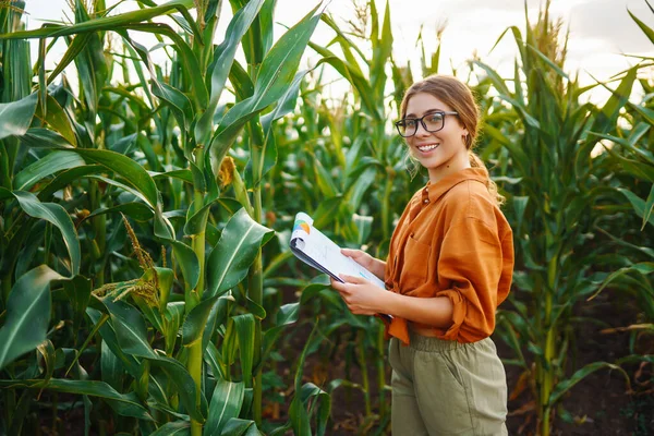 stock image A farmer woman stands in a field and inspects a green corn plantation. Agronomist on the farm. Harvest care concept.