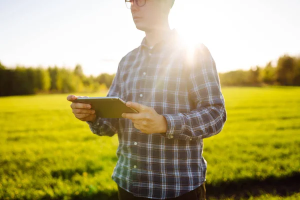 Jonge Boer Een Groen Tarweveld Met Een Tablet Zijn Handen — Stockfoto