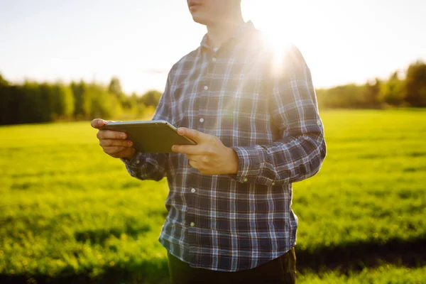 Yeşil Buğday Tarlasında Elinde Tabletle Genç Bir Çiftçi Çiftçi Ekini — Stok fotoğraf