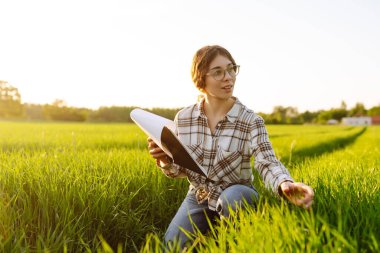 Genç dişi çiftçi, tarladaki genç buğdayla birlikte bir tabletle çalışıyor. Çiftçi buğday filizlerine dokunur, büyümeyi kontrol eder. Çiftlik gelişimi ve bahçıvanlık kavramı.