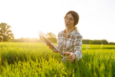 Genç dişi çiftçi, tarladaki genç buğdayla birlikte bir tabletle çalışıyor. Çiftçi buğday filizlerine dokunur, büyümeyi kontrol eder. Çiftlik gelişimi ve bahçıvanlık kavramı.