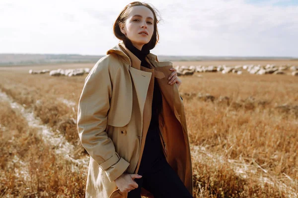 Tarlada poz veren zarif genç bir kadın. Moda, cazibe, yaşam tarzı konsepti. Sonbahar.