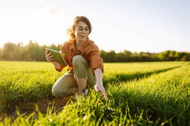Buğday tarlasında deneyimli çiftçi kadın buğday filizlerini inceliyor. Gülümseyen çiftçi elinde dijital tabletle buğday tarlasının kalitesini kontrol ediyor. Buğday tarlasının ilerleyişini kontrol ediyorum. Tarım kavramı.