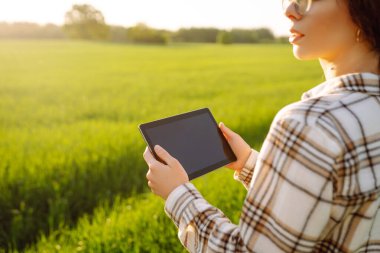 Hasatı kontrol etmek için genç bir çiftçinin elindeki dijital tablet. Akıllı çiftlik. Çiftçi mahsulün kalitesini inceler. Tarım kavramı.