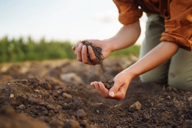 Deneyimli çiftçi kadın tohum, sebze ve bitki yetiştirmeden önce toprağa elleriyle dokunuyor, topluyor, sağlığını ve toprağın kalitesini kontrol ediyor. İş, tarım kavramı.