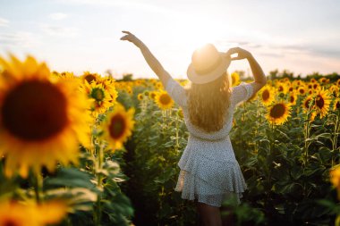 Güneşli, güzel, mutlu bir genç kadının fotoğrafı, sıcak havanın tadını çıkarırken, çiçek açan ayçiçeği tarlasında yürürken. Kadın ayçiçeği tarlasında elbise ve şapkayla poz veriyor. Anın tadını çıkar. Etkin yaşam biçimi.
